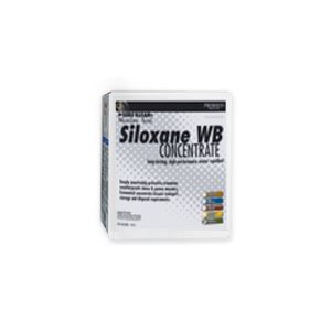 Siloxane WB Concentrate